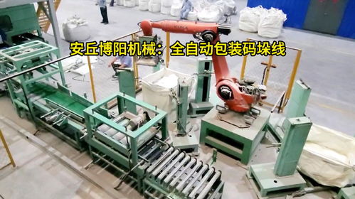 碳酸鈣粉全自動(dòng)包裝碼垛線 50kg粉料全自動(dòng)包裝碼垛機(jī)械手