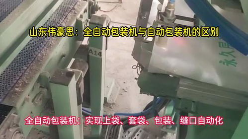 粉料全自動包裝機 人工上袋自動包裝秤的區別